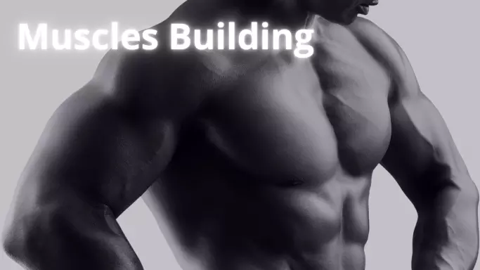 Muscle Building